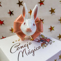 Anillo Conejo Rosetón Rosado