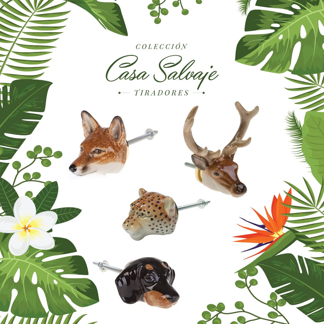 Tirador o Manilla Dachshund Negro