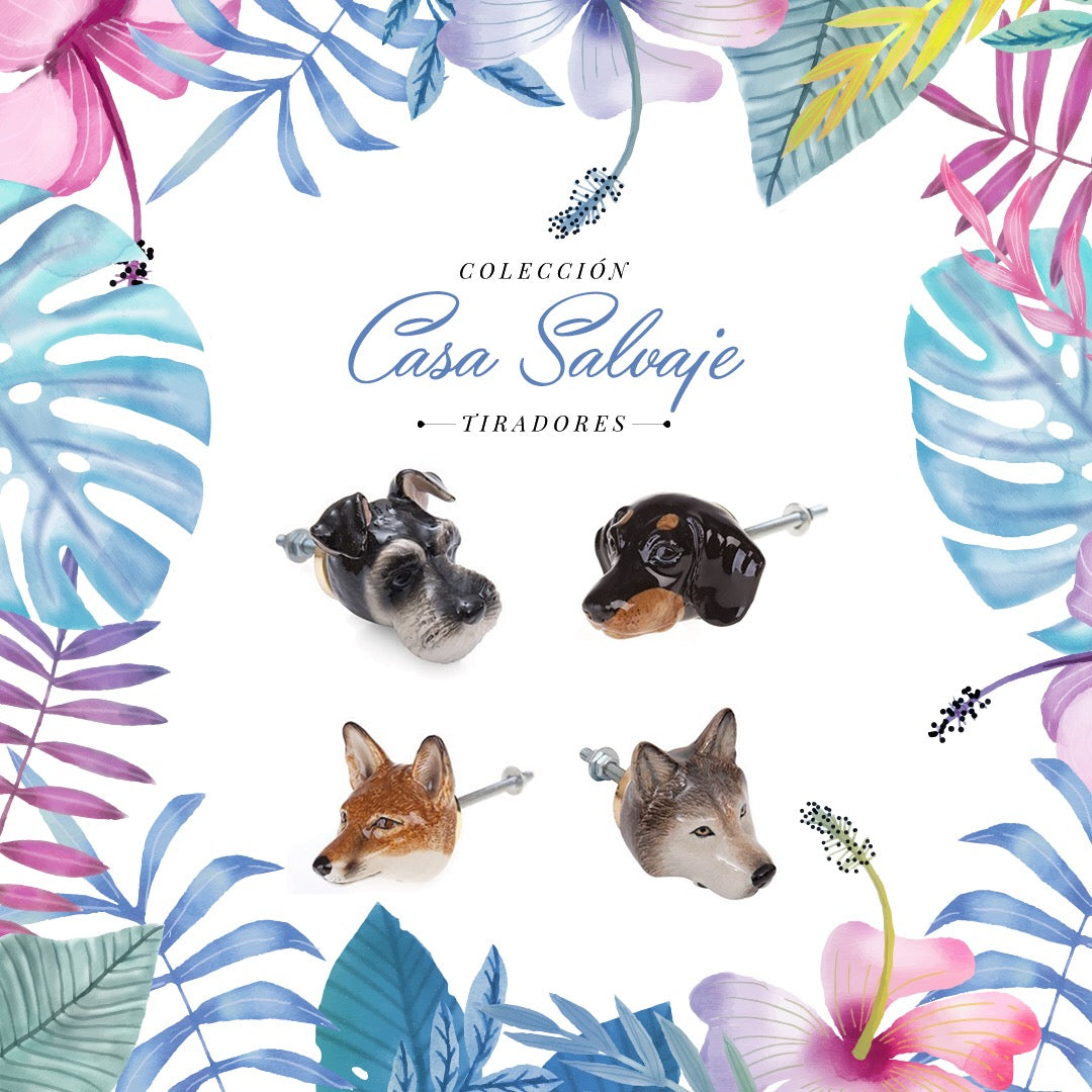 Tirador o Manilla Lobo