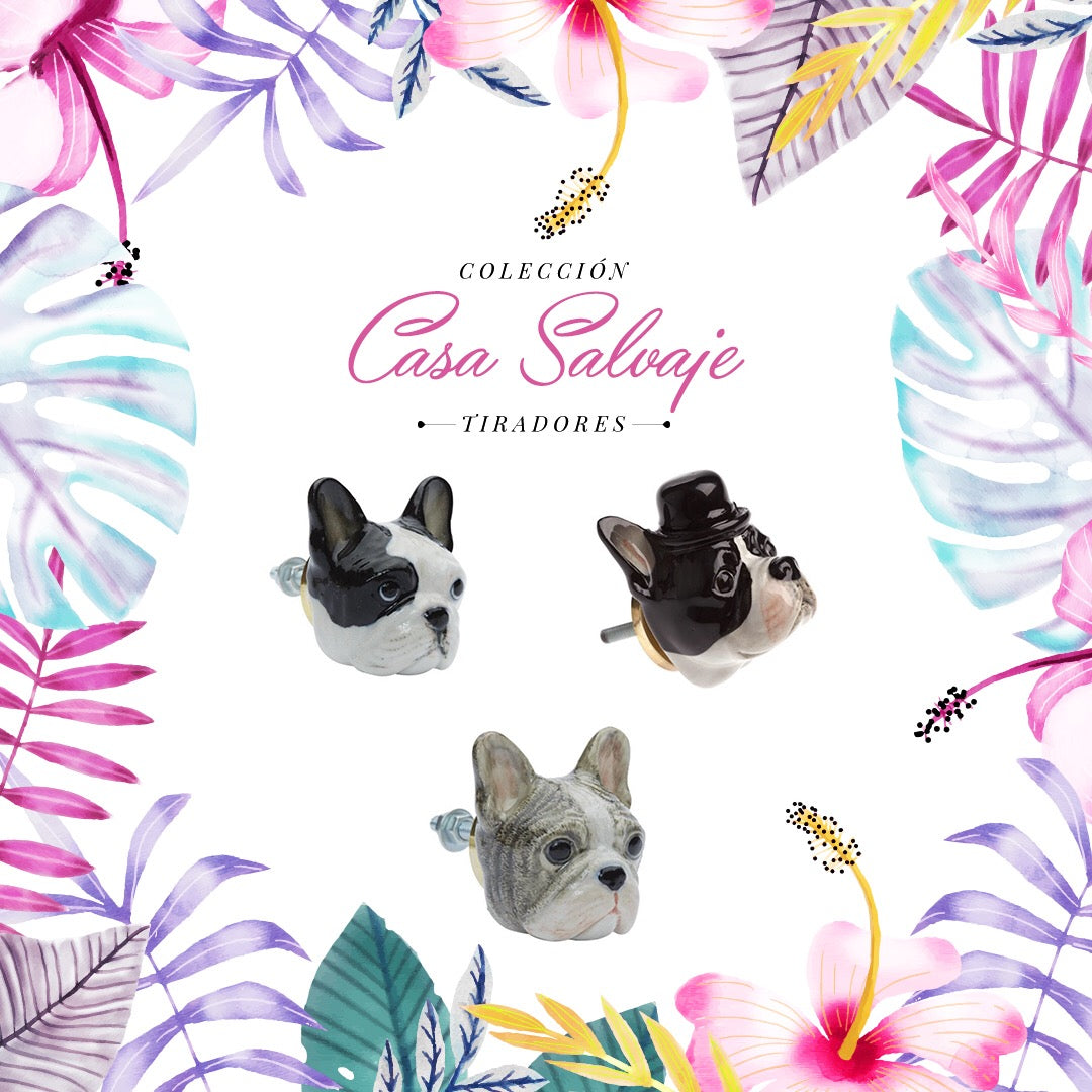 Tirador o Manilla Bulldog Francés