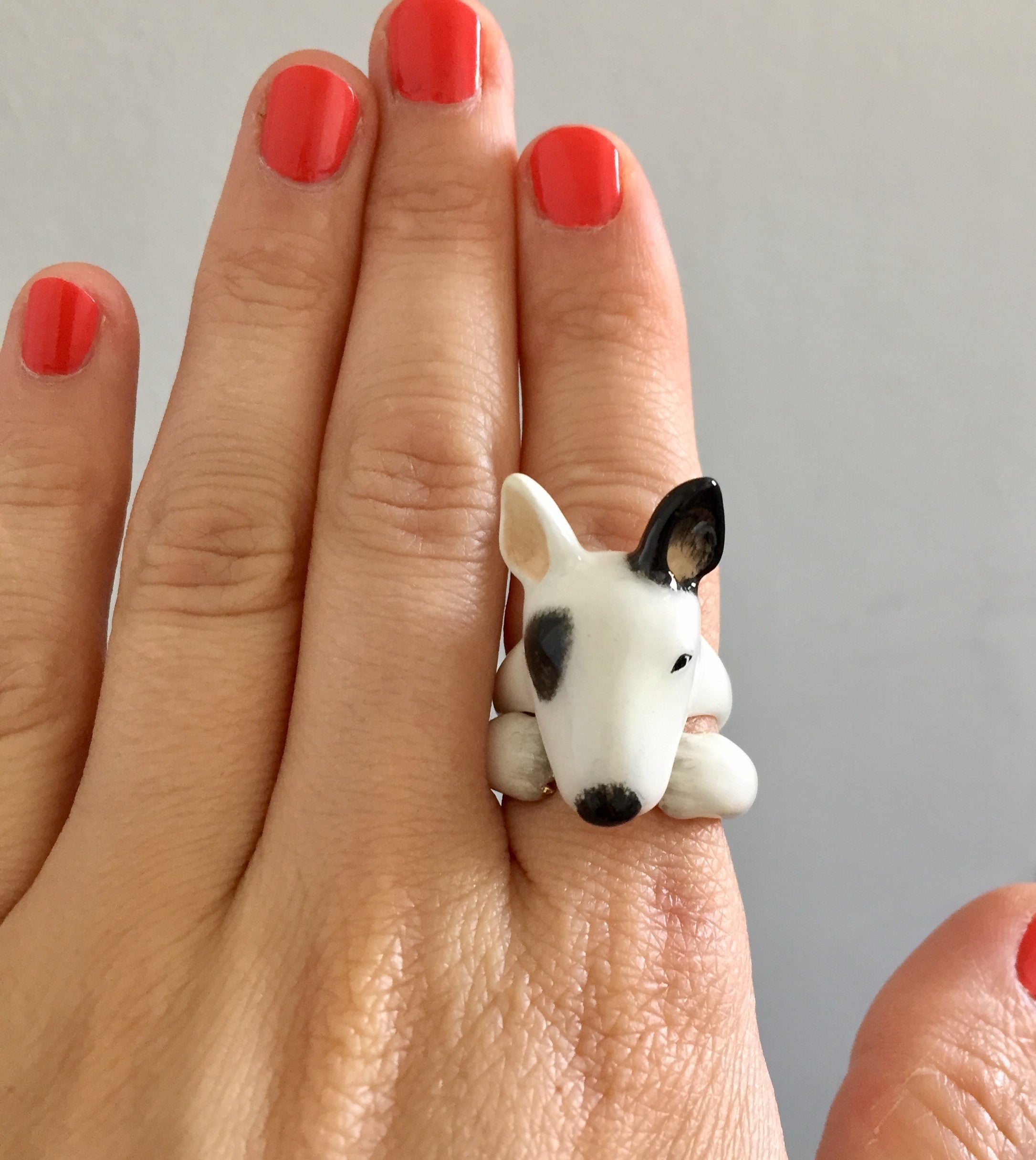 Anillo Bull Terrier