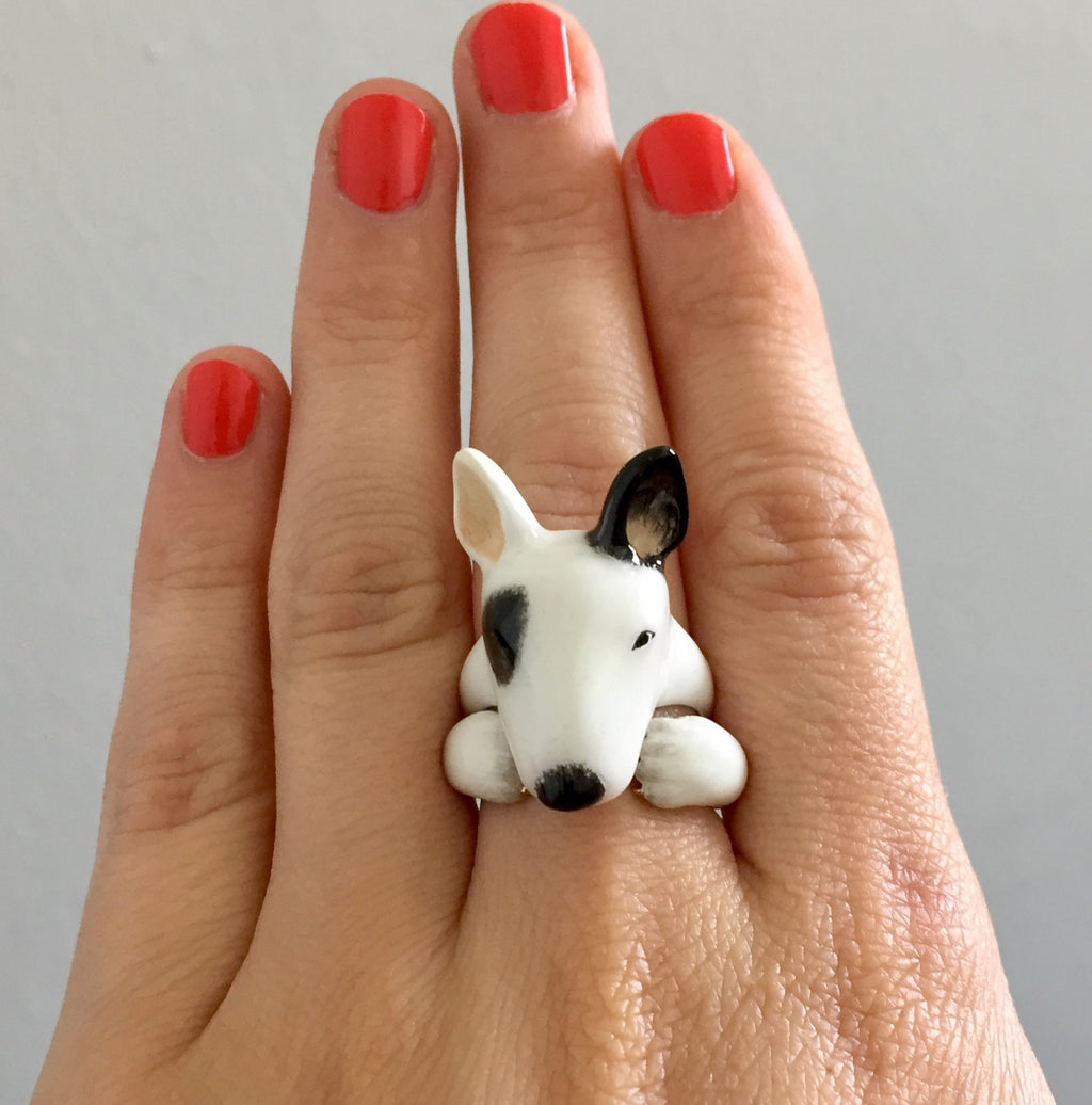 Anillo Bull Terrier