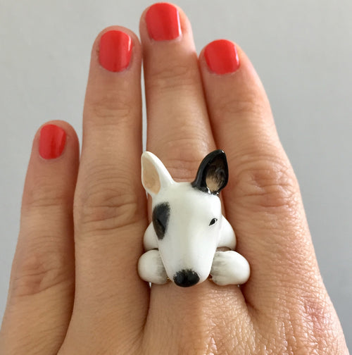 Anillo Bull Terrier