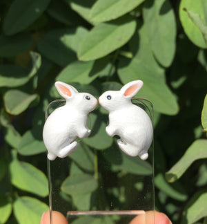 Aros Conejo Blanco